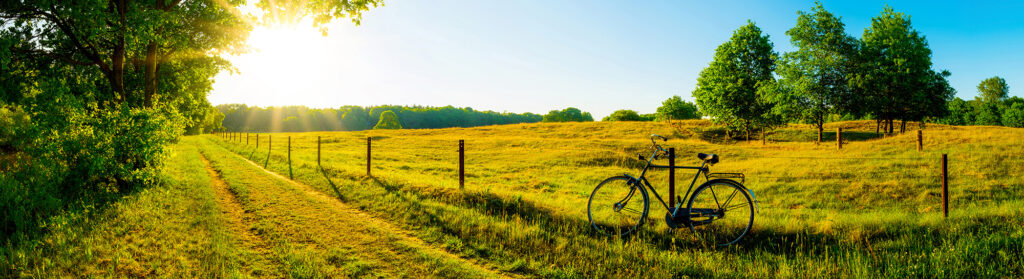 Big leaning against fence in grassy field